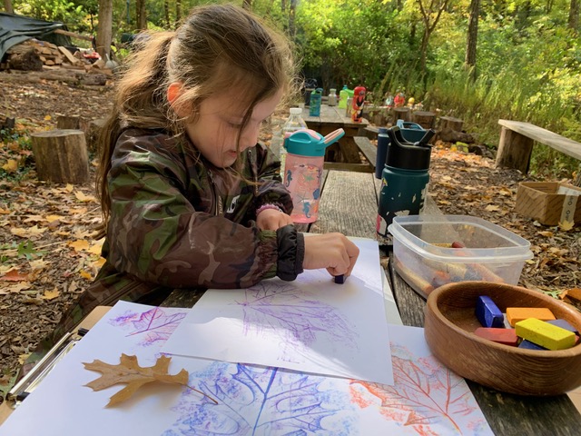 Elementary kids exploring leaves